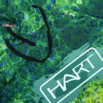 Худи Tropic Hoodie XHTRO - Hart