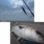Прът SINPAA SC83-95G 8'3" 2.51 м Lure 60-140 гр Best 90-120 гр Line PE 6-8 R - Zenaq